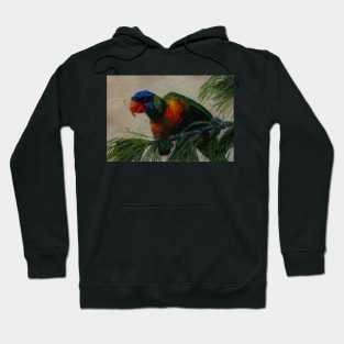 'Colourful Lookout' Hoodie